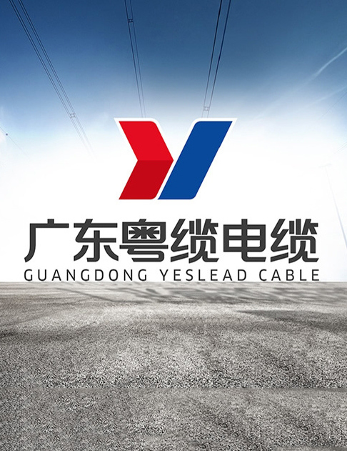 选择我们的6个理由